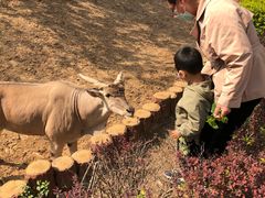 -石家庄市动物园