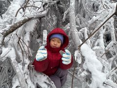 -秦岭终南山世界地质公园翠华山景区