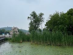 -渤公岛生态公园