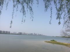 -艾溪湖湿地公园