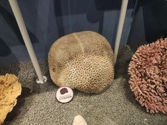 -中国湿地博物馆