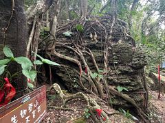 -七仙岭温泉国家森林公园
