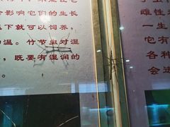 -上海昆虫博物馆