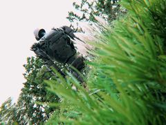 -三鹰之森吉卜力美术馆