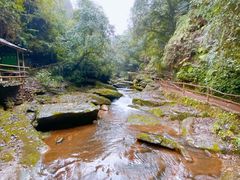 -碧峰峡风景区