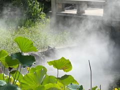 -东山雕花楼