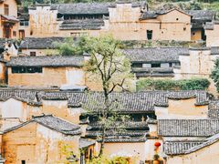 -杨家堂村