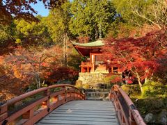 -醍醐寺