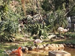 -昆明动物园