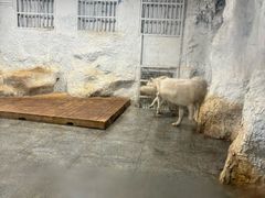 -宁波海洋世界-售票处