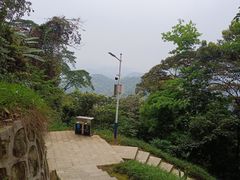 -黄埔油麻山森林公园