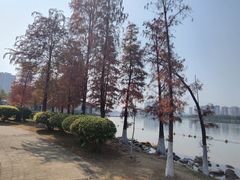 -飞来湖湿地公园