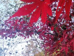 -敬亭山风景名胜区