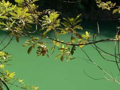 -广州市流溪河国家森林公园