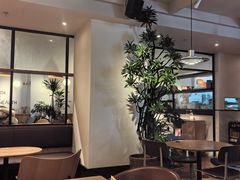 -Wagas沃歌斯(枫蓝国际店)