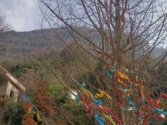 -九皇山景区