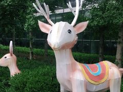 -南宫五洲植物乐园