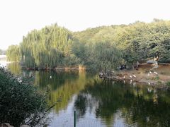 -北京张裕爱斐堡酒庄
