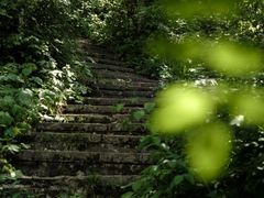 -江苏三台山国家森林公园