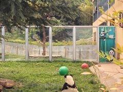 -西安秦岭野生动物园