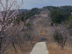 -鬼笑石后山停车场