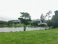 -宝安西湾红树林湿地公园