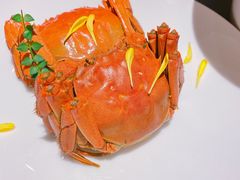 -甄御•海鲜新青岛菜(麦岛店)