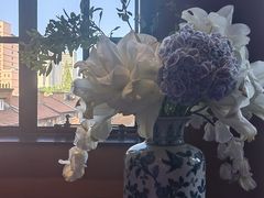 -滇野云南野生菌餐厅(陕西南路店)