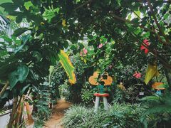 -呀路古热带植物园