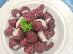 -圆苑(静安寺店)