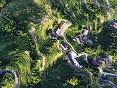 -紫鹊界梯田景区