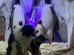 -太平洋海底世界