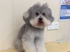 -芭比堂动物医院·24小时·眼科中心(深圳中心)
