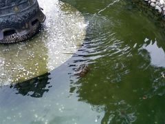 -宁波溪口古镇-民国大杂院