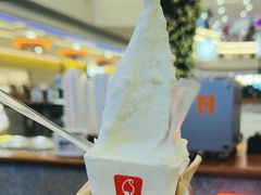 -野人先生Gelato(上海长宁龙之梦店)