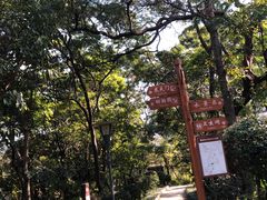 -攀枝花公园