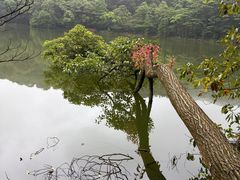 -广州市石门国家森林公园