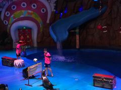 -烟台海昌鲸鲨海洋公园