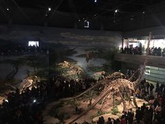 -自贡恐龙博物馆