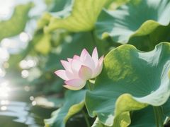 -南京金牛湖风景区