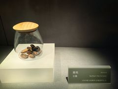 -大同市博物馆