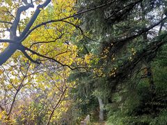 -狼山风景名胜区