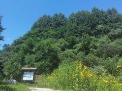 -玉渡山自然风景区