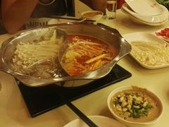 -彤德莱火锅(乐陵路店)