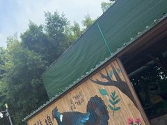 -广州长隆飞鸟乐园