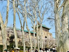 -武汉大学-樱园