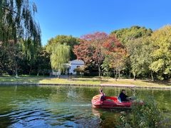 -上海共青森林公园