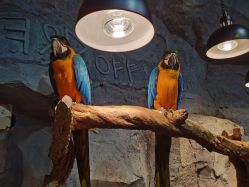 -Zoolung Zoolung动物主题公园(海信广场店)