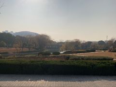 -南京财经大学(仙林校区)