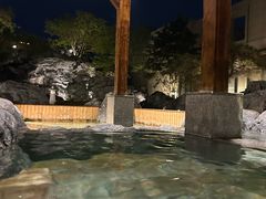 -和园景逸大酒店朗月汤泉